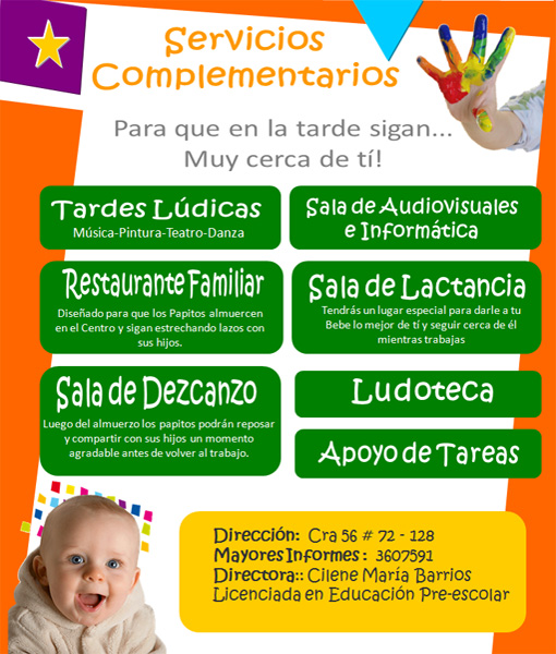 Servicios Pingui